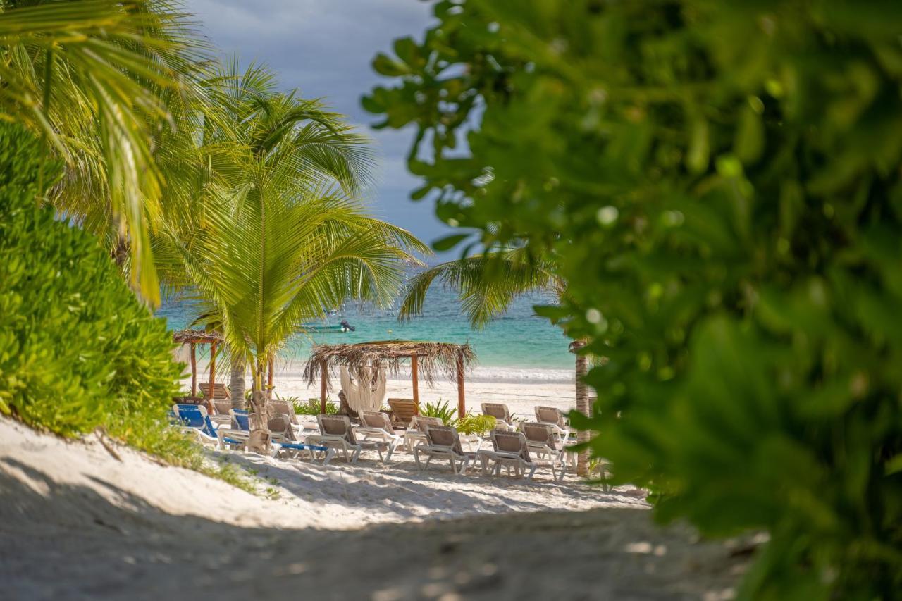 Alito Tulum Hotel Exteriér fotografie