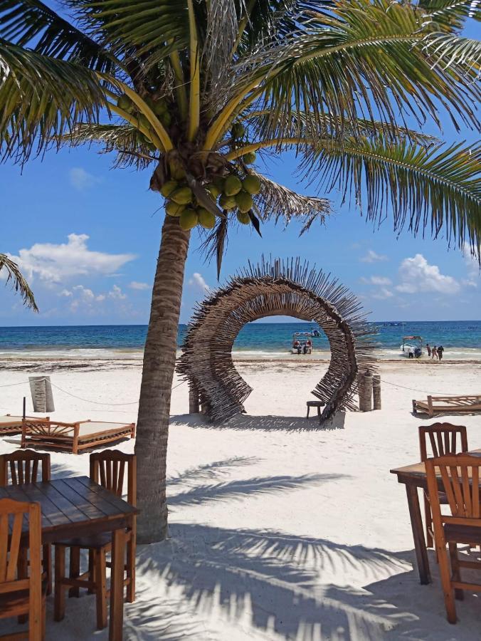 Alito Tulum Hotel Exteriér fotografie