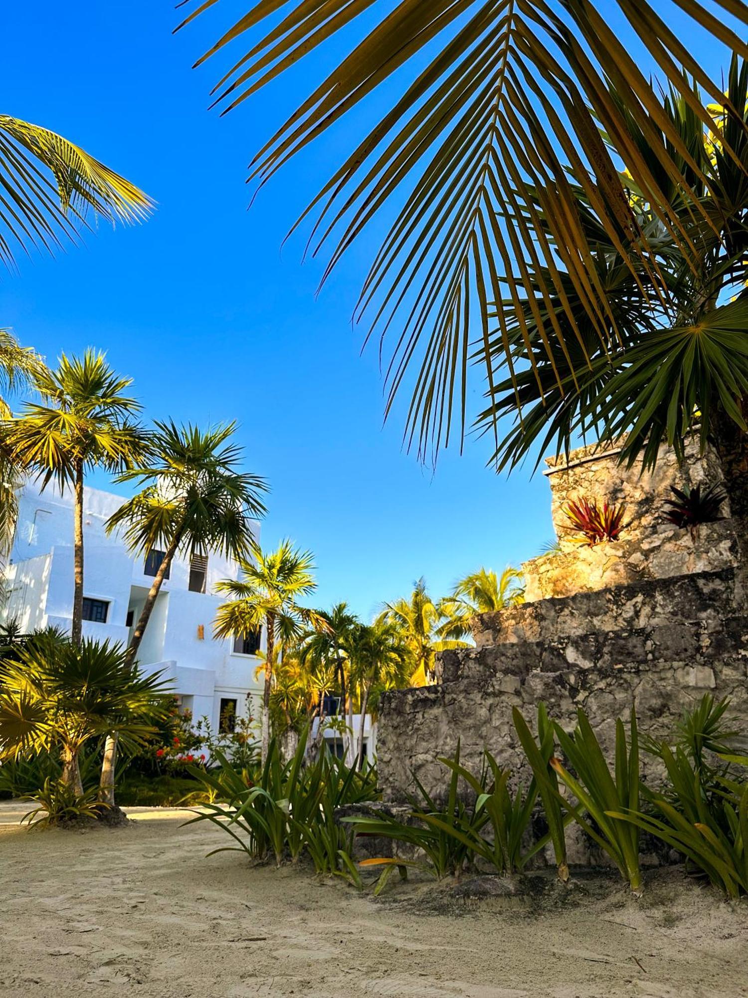 Alito Tulum Hotel Exteriér fotografie