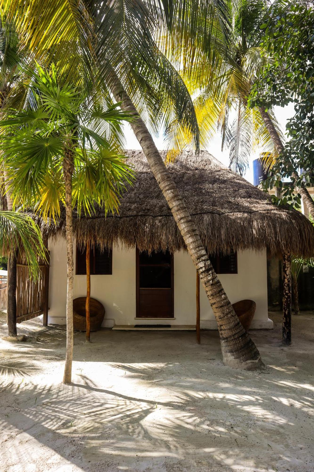 Alito Tulum Hotel Exteriér fotografie